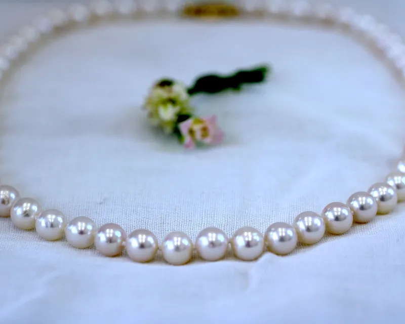 Collier de perles d'Akoya et fermoir en or jaune 18k